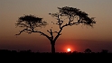Another African Sunset